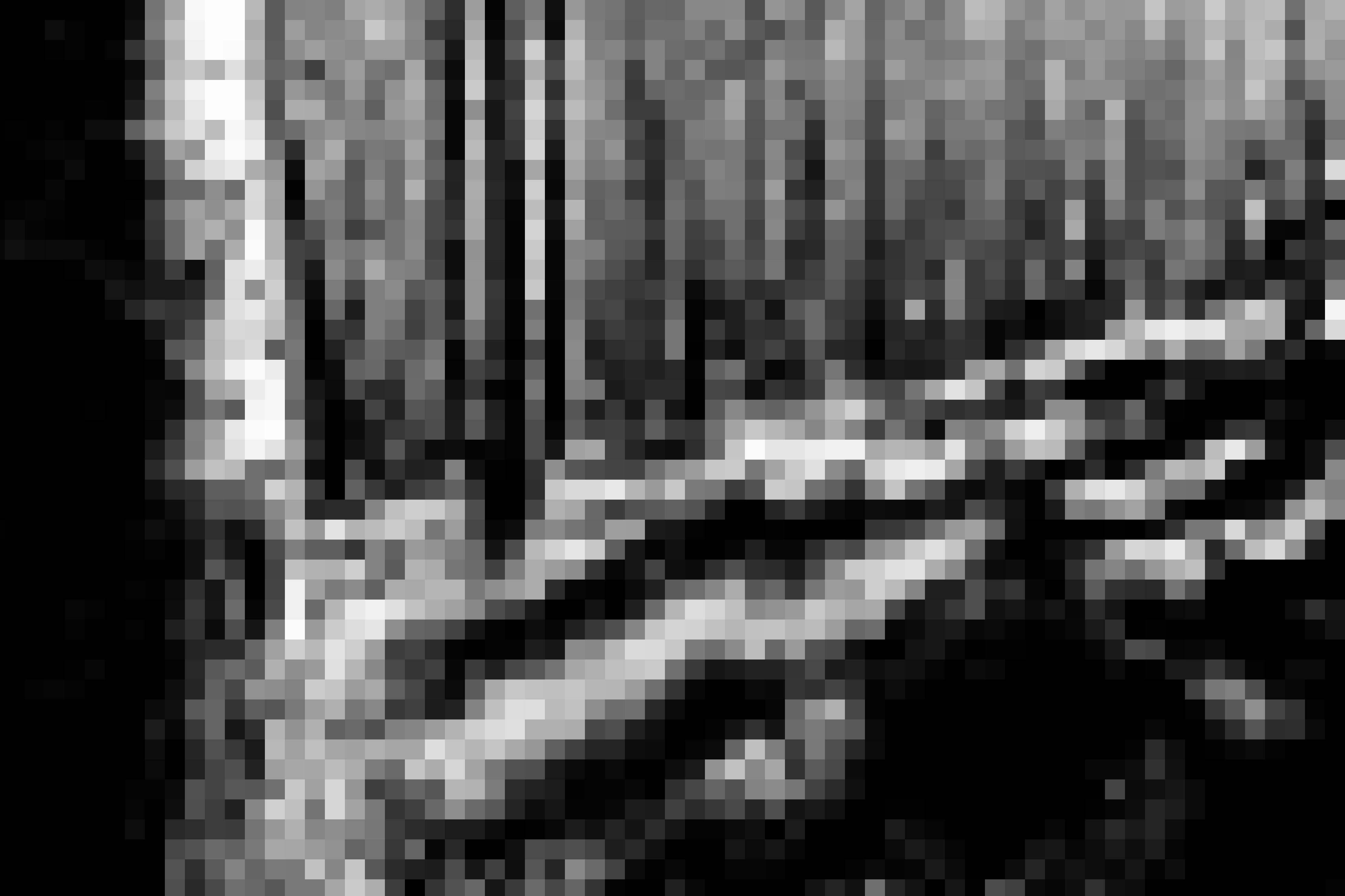 A blurry, pixelated black and white forest trail extending to the right, surrounded by trees. The Path of Venus.